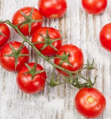 Tomato -Cherrola F1-20 Seeds