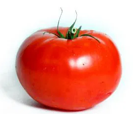 Tomato - Giant - 20 Seeds