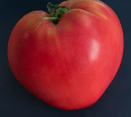 Tomato - Cuor di Bue - 20 Seeds