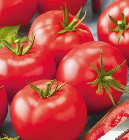 Tomato - Belladona F1 - 20 Seeds
