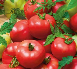 Tomato - Esmira F1- 20 Seeds
