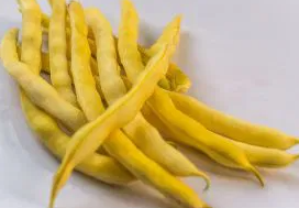 Dwarf Bean - Neckargold - 30 Seeds
