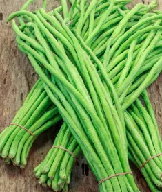 Cowpea - Vigna unguiculata - 30 Seeds
