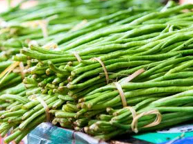 Cowpea - Vigna unguiculata - 30 Seeds