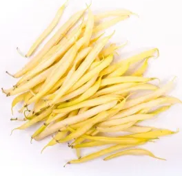 Dwarf Bean - Tara - 30 Seeds