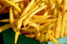 Dwarf Bean - Maxidor - 30 Seeds