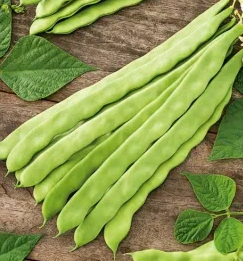 Climbing Bean - Supermarconi - 30 Seeds