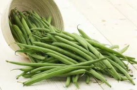 Dwarf Bean - Ferrari - 30 Seeds