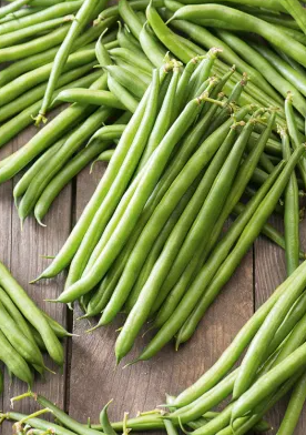 Dwarf Bean - Ferrari - 30 Seeds