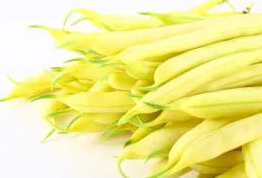Dwarf Bean - Złota Saxa - 30 Seeds