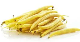 Dwarf Bean - Złota Saxa - 30 Seeds