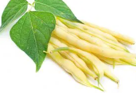 Dwarf Bean - Furora Polana - 30 Seeds