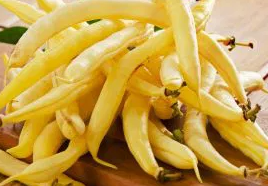 Dwarf Bean - Furora Polana - 30 Seeds