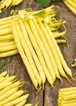 Dwarf Bean - Furora Polana - 30 Seeds