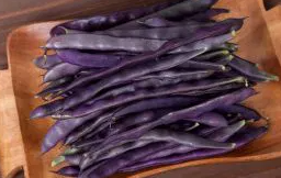 Green bean "Blauhilde" - 30 Seeds