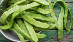 Wax Bean Hilds Neckarkönigin - 30 Seeds