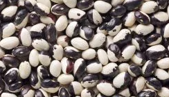 Dwarf green French bean "Yin Yang" - 30 Seeds