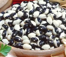 Dwarf green French bean "Yin Yang" - 30 Seeds