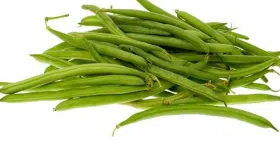 Green French bean "Processor" - 30 Seeds