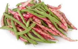 French Bean - Mixed - 50 Seeds