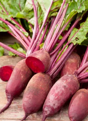 Beetroot - Renova - 100 Seeds