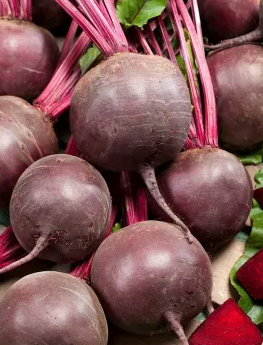 Beetroot - Detroit 2- 100 Seeds