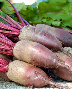 Beetroot - Opolski- 100 Seeds
