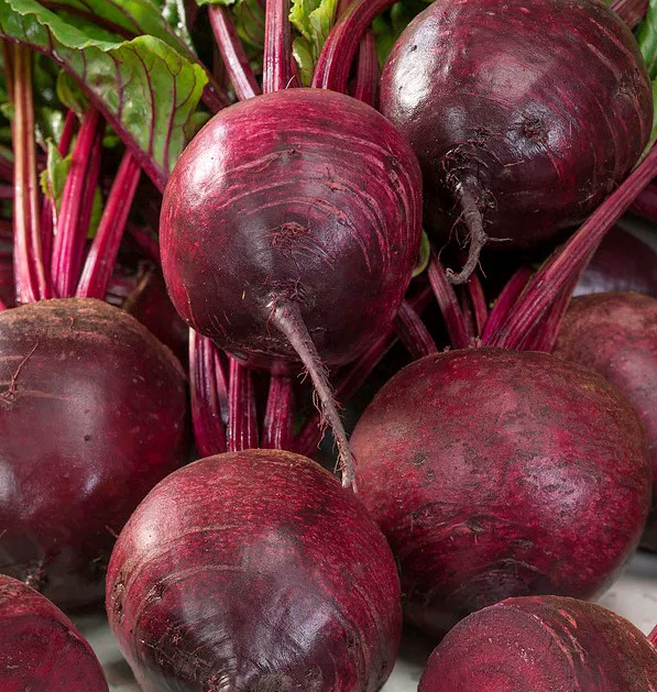 Beetroot - Betina - 100 Seeds