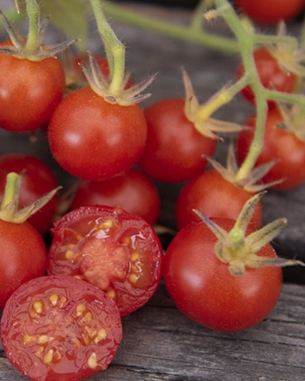Tomato - Baby Boomer - Cherry - 20 Seeds