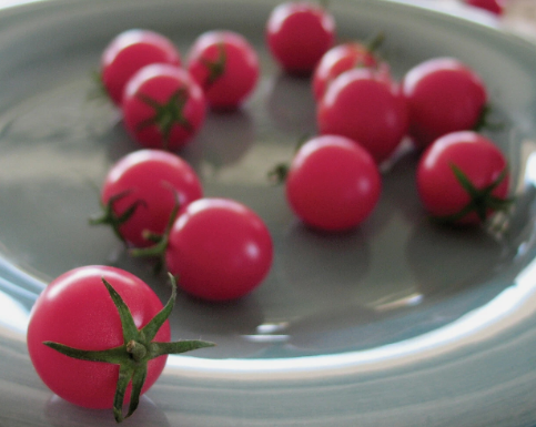 Tomato -Sweet Treats- Cherry - 20 Seeds
