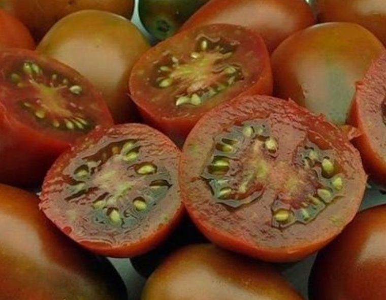 Tomato - Monisto - 20 Seeds