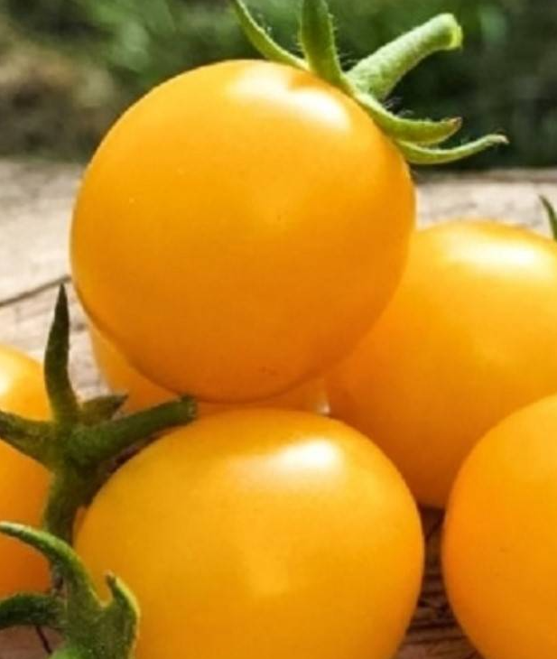 Tomato - Melon smoothie - 20 Seeds