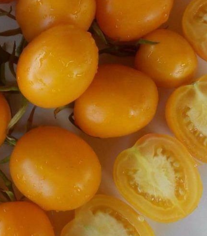 Tomato - De Barao gold - 20 Seeds