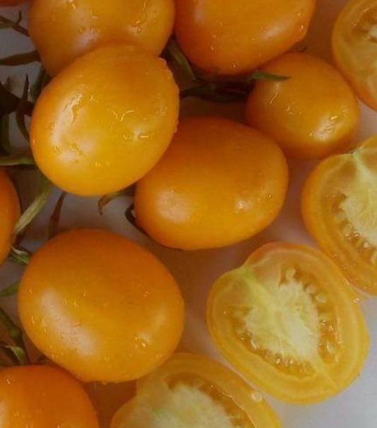 Tomato - De Barao gold - 20 Seeds