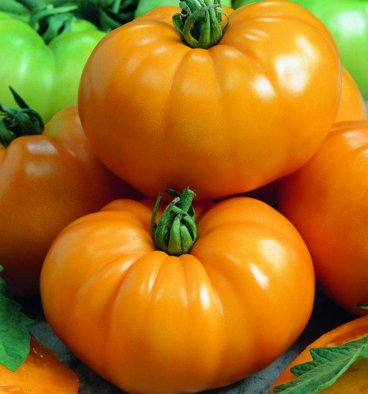 Tomato - Yellow bison - 20 Seeds