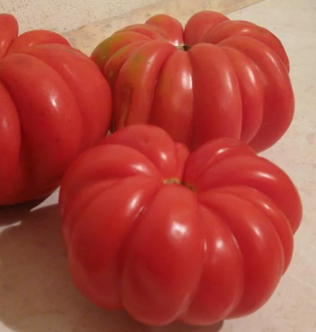 Tomato - Japanese crab - 20 Seeds