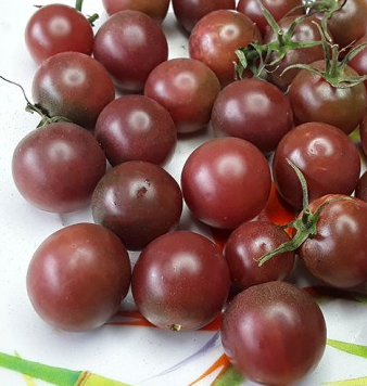 Tomato - Sweet Chocolate Clusters - Cherry - 20 Seeds