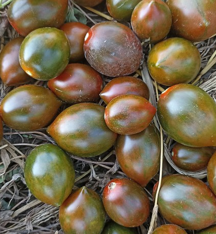 Tomato - Cookie Select - Cherry - 20 Seeds
