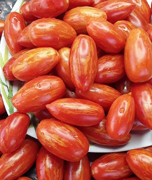 Tomato - Matt’s Hornet - Cherry - 20 Seeds