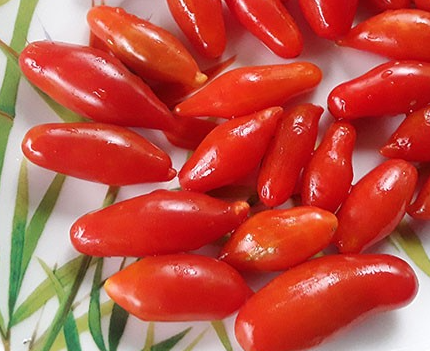 Tomato - Dachtyla Mynoa - Cherry - 20 Seeds
