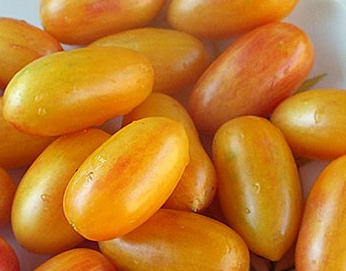 Tomato - Blush - Cherry - 20 Seeds