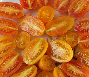 Tomato - Blush - Cherry - 20 Seeds
