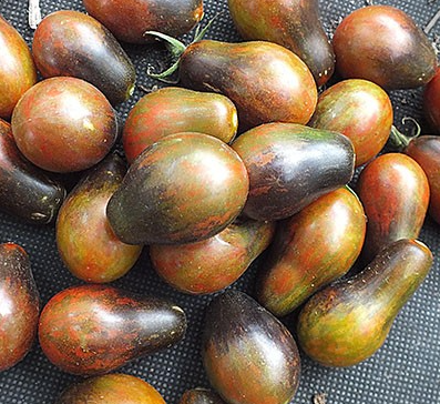 Tomato - Blue Keys - Cherry - 20 Seeds