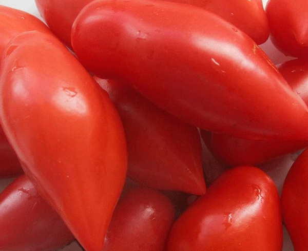 Tomato - Summer Temptation - Cherry - 20 Seeds
