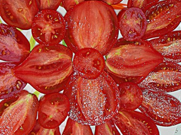 Tomato - Summer Temptation - Cherry - 20 Seeds