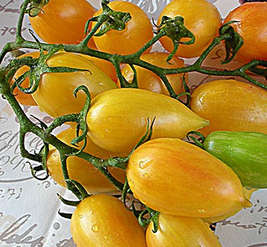 Tomato - Candy Sweet Icicle Mix - Cherry - 20 Seeds