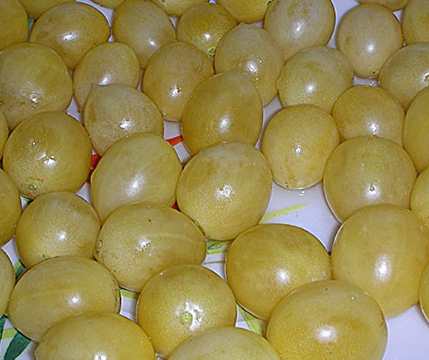Tomato - Barry's crazy - Cherry - 20 Seeds