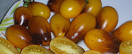 Tomato - Indigo Pear Drops - Cherry - 20 Seeds