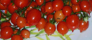 Tomato - Geranium Kiss - Cherry - 20 Seeds