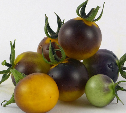 Tomato - Blue Goldberry - Cherry - 20 Seeds